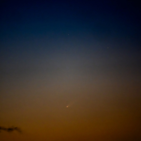 横浜から紫金山・アトラス彗星