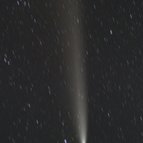 2024/10/20の紫金山・ATLAS彗星