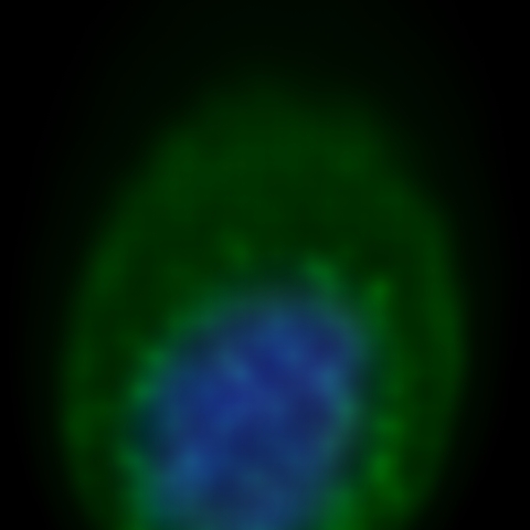 2024/10/20の紫金山・ATLAS彗星