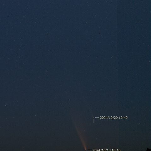 紫金山・ATLAS彗星