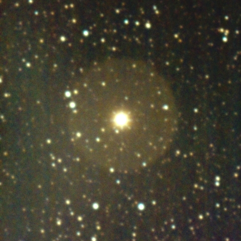 孤独な蛇の心臓