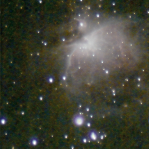 M42