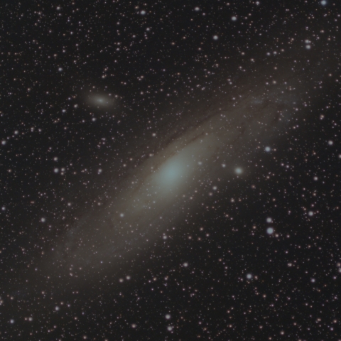 奮えながらその光を追いかけてた