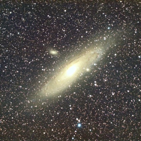 奮えながらその光を追いかけてた（再処理2）