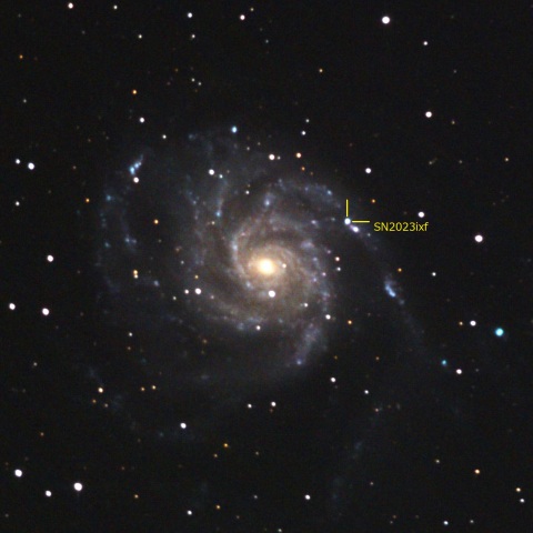 M101超新星(2023ixf)再処理