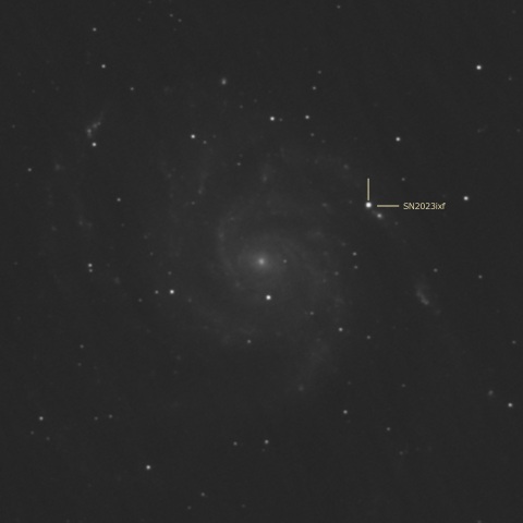 M101(2023ixf)