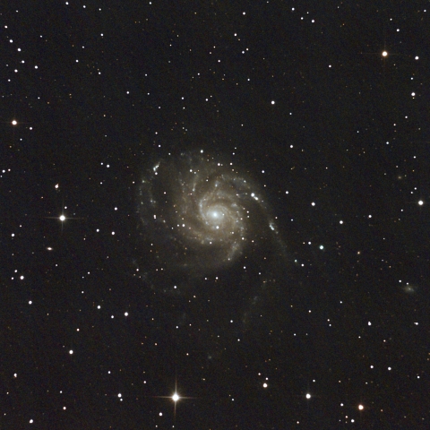 M101(2023ixf)