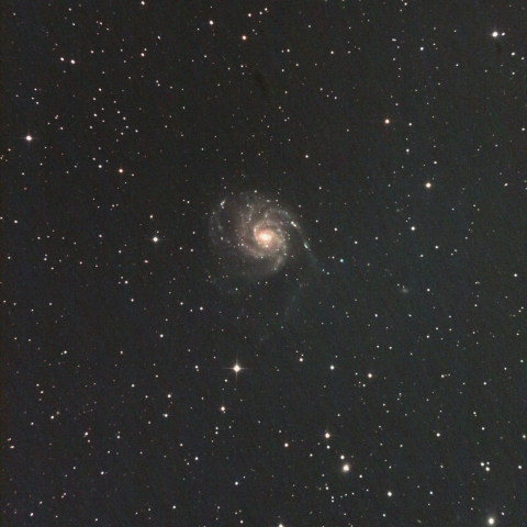 M101