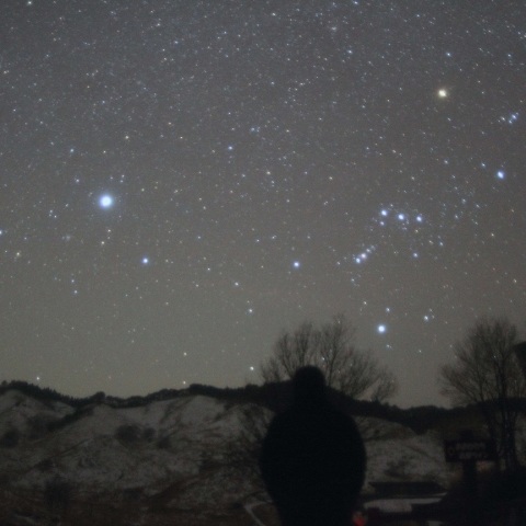 凍てつく冬の景色にオリオンとおおいぬ