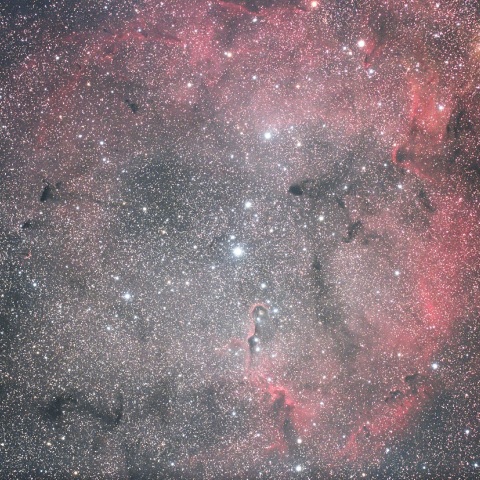 ガーネットスターとIC1396