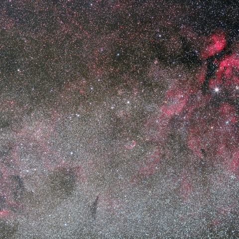 はくちょう座 γ星付近