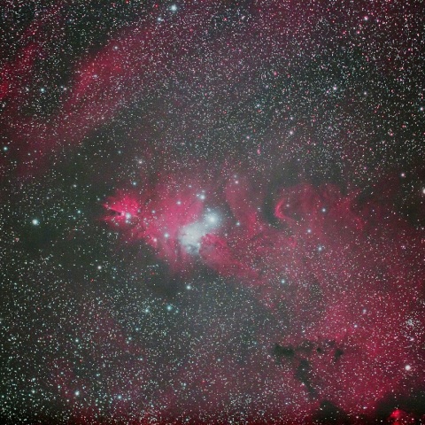 クリスマスツリー星雲