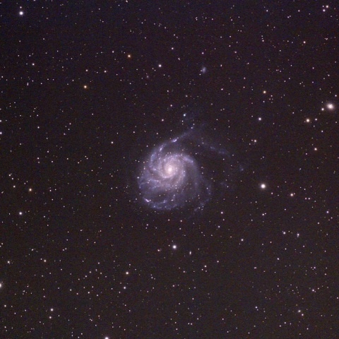 M101