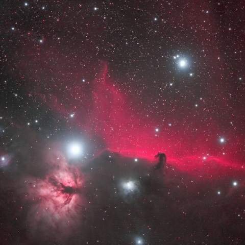 オリオン座　IC434馬頭星雲　NGC2024炎星雲