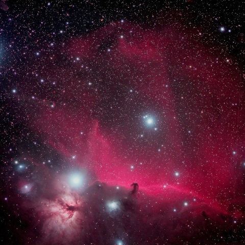 オリオン座　馬頭星雲全景