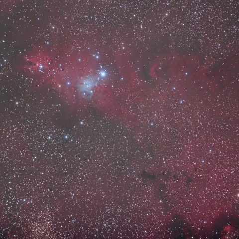 NGC2264 クリスマスツリー星団、コーン星雲