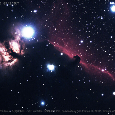 2025/1/25 燃える木・馬頭星雲(IC434,NGC2024 etc.)