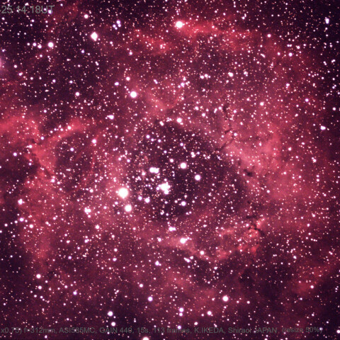 2025/1/25 ばら星雲(NGC2244)