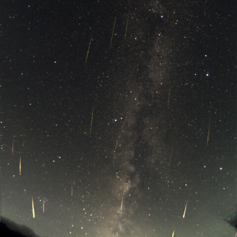 2026-08-12 ペルセウス座流星群
