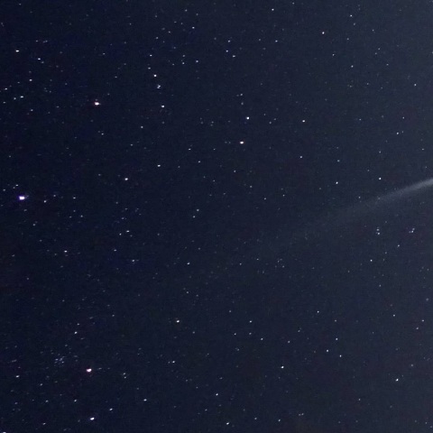 紫金山・アトラス彗星