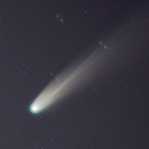 以前投稿したＣ/2025 A6レモン彗星のカブリをGraXpertで処理した画像をトリミング拡大