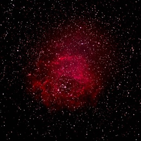 NGC2237 ばら星雲