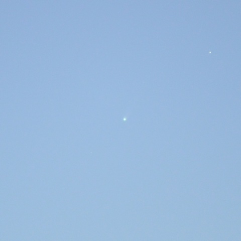 都内で明るい中やっと撮れました！