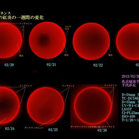 プロミネンス一週間の変化