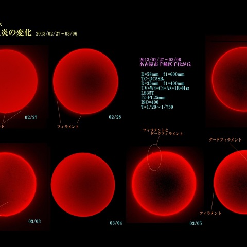 プロミネンスの変化2013/02/27-03/06