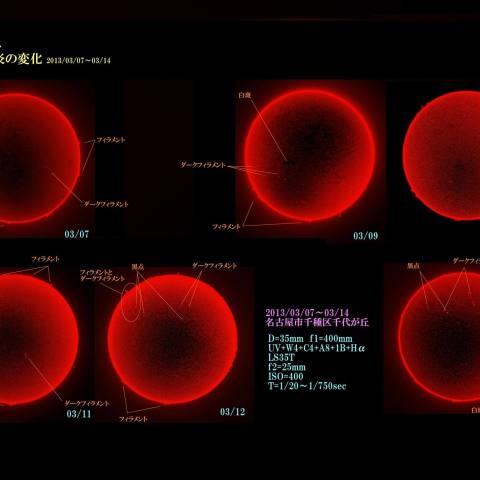 プロミネンスの変化2013/03/07～03/14