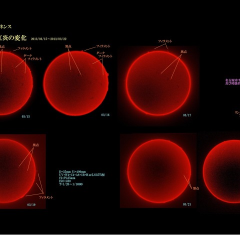 プロミネンスの変化2013/03/15～03/22