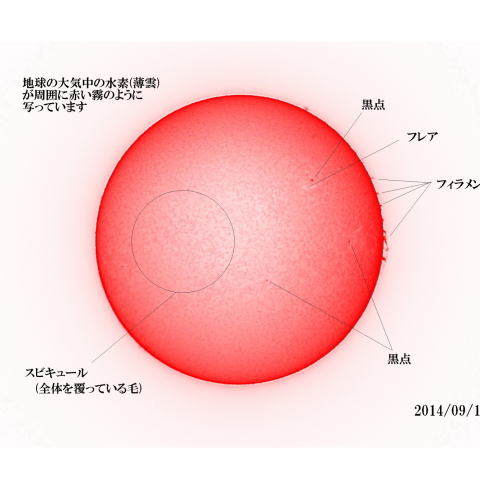 太陽　2014/09/14  (5/5)  日の丸