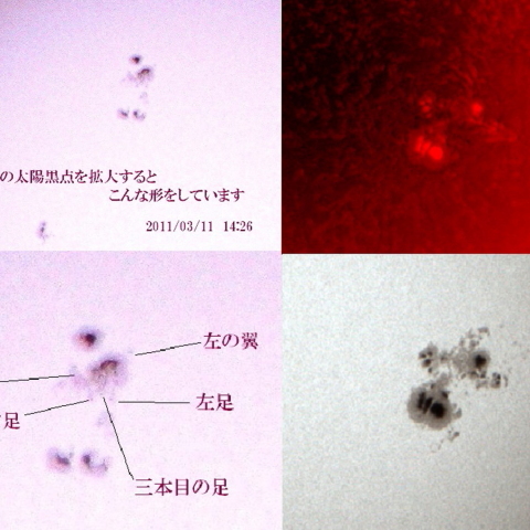 太陽　2014/10/25 (7/7) 八咫の烏(前回との比較)