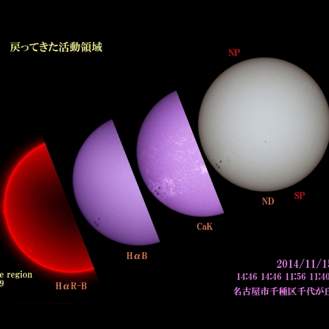 太陽 2014/11/15 (6/6)　戻ってきた活動領域