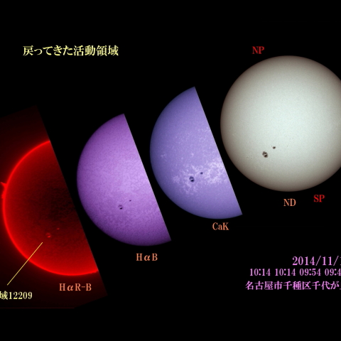 太陽 2014/11/18 (6/6)　戻ってきた活動領域