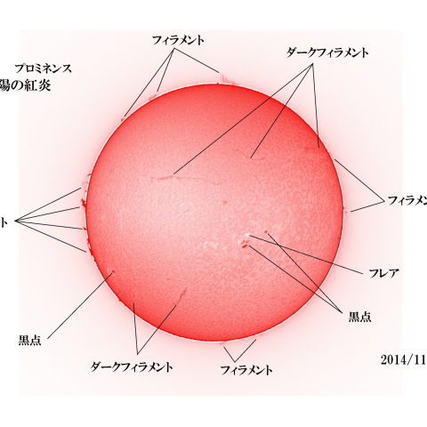 太陽 2014/11/21 (5/6)　日の丸　戻ってきた活動領域