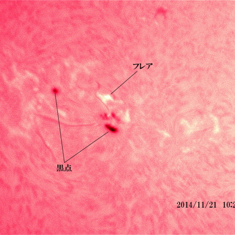 太陽 2014/11/21 (6/6)　フレアの光っている戻ってきた活動領域