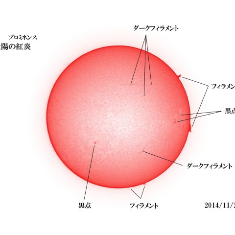 太陽 2014/11/24 (5/5)　日の丸　戻ってきた活動領域
