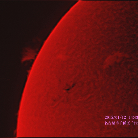 太陽　2015/01/12 イチョウの葉のようなフィラメント