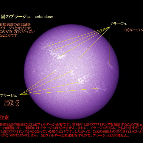 太陽のプラージュ