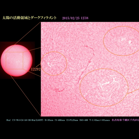 太陽の活動領域とダークフィラメント