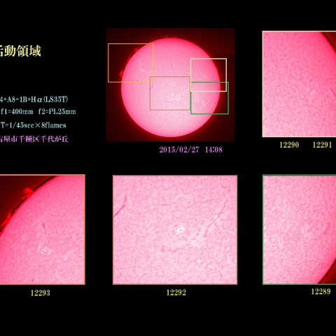 太陽の活動領域