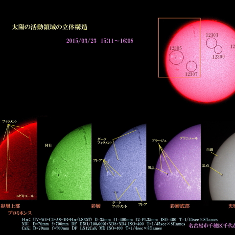 太陽の活動領域の立体構造
