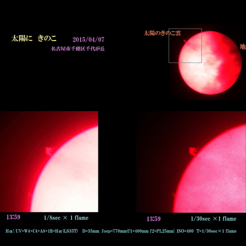 太陽に　きのこ