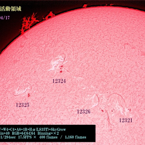 太陽の活動領域