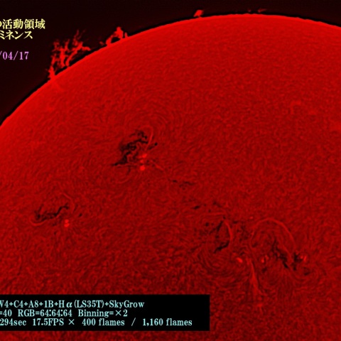 太陽の活動領域のプロミネンス　2015/04/17