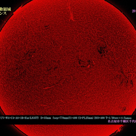 太陽の活動領域のプロミネンス