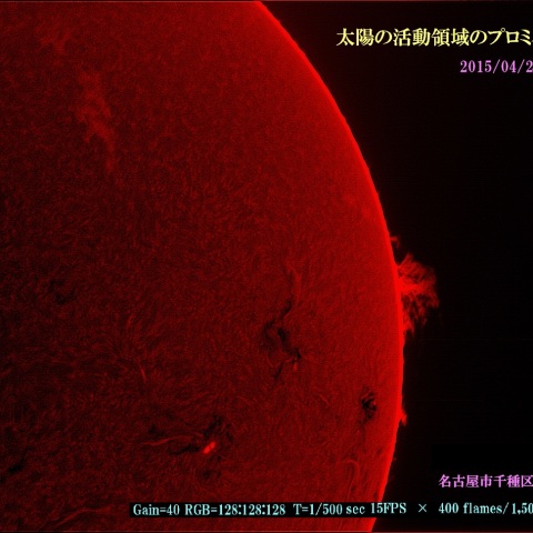 太陽の活動領域のプロミネンス　2015/04/23 (1)