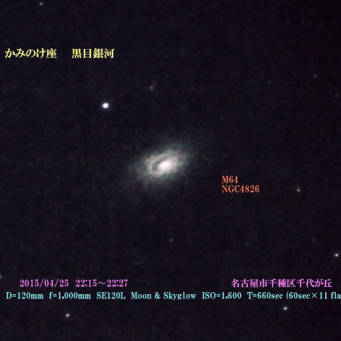 かみのけ座　黒目銀河