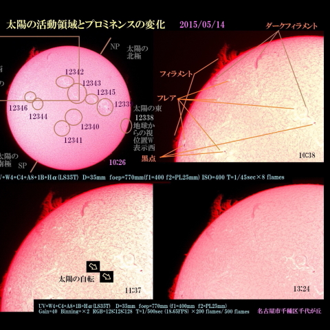 太陽の活動領域とプロミネンスの変化
